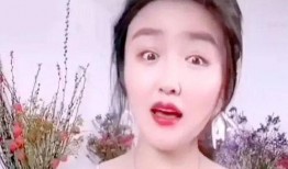 网红刘辉被爆料视频大全,揭秘背后真相与争议